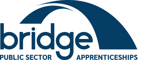 Bridge logo